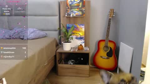 STACY online show from February 10, 2025, 2:08 am