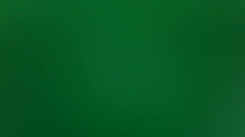 stacysquirtle online show from February 4, 2026, 12:00 pm