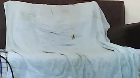 star0806666a online show from November 6, 2025, 10:05 am