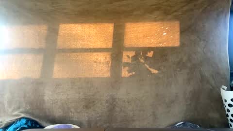 starbie online show from December 30, 2024, 4:29 pm