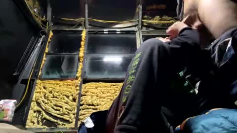 starbie online show from February 6, 2025, 12:11 am