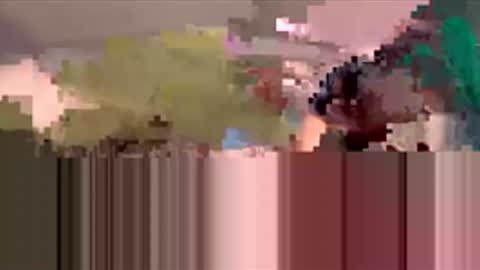 starbie online show from March 19, 2026, 4:33 pm