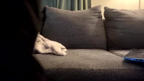 starr3095 online show from September 17, 2025, 1:46 pm