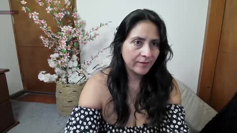 Stafania 3 online show from January 4, 2025, 11:22 am