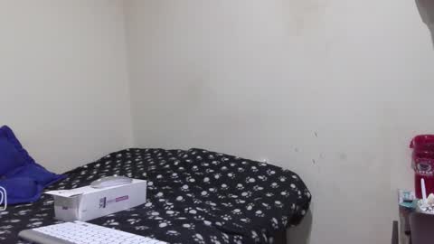 STEFANA online show from November 30, 2025, 5:44 am