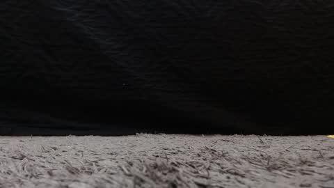 Snapshot of stefany_bro chatting on March 21, 2026, 11:26 am Stefany Brown online show from March 21, 2026, 11:26 am