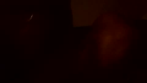 stefy1037 online show from June 13, 2026, 5:49 am