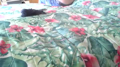 Snapshot of stel7621 chatting on October 16, 2025, 1:56 pm Rocco-load online show from October 16, 2025, 1:56 pm