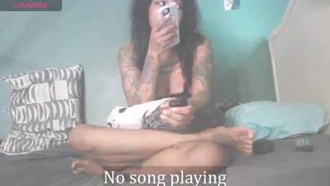 Stella Clitella online show from September 30, 2025, 11:37 am