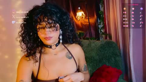 Snapshot of stellart_ chatting on June 21, 2026, 2:03 am stellart_ online show from June 21, 2026, 2:03 am
