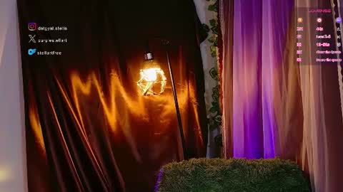 Snapshot of stellart_ chatting on July 14, 2026, 11:43 pm stellart_ online show from July 14, 2026, 11:43 pm