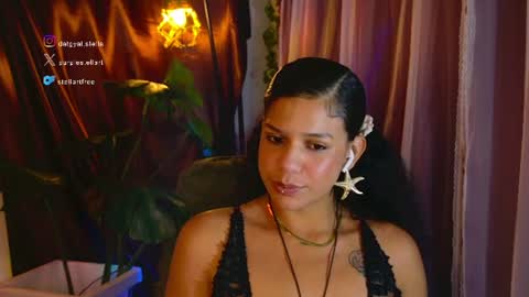 Snapshot of stellart_ chatting on July 20, 2026, 2:48 am stellart_ online show from July 20, 2026, 2:48 am
