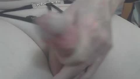 Snapshot of stephanhot chatting on March 7, 2025, 2:23 pm gurls love to have fun online show from March 7, 2025, 2:23 pm