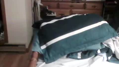 Snapshot of sterben13v chatting on December 26, 2024, 12:03 am Ian23602 online show from December 26, 2024, 12:03 am