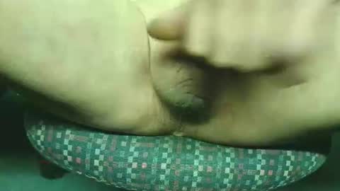 steri8888 online show from November 24, 2025, 8:41 pm