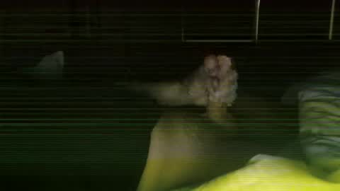 Steve online show from February 27, 2026, 11:43 am