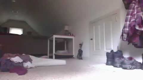 steve online show from October 13, 2025, 5:57 pm