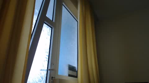 Snapshot of stevenbradley2017 chatting on December 30, 2024, 1:47 pm Steven online show from December 30, 2024, 1:47 pm