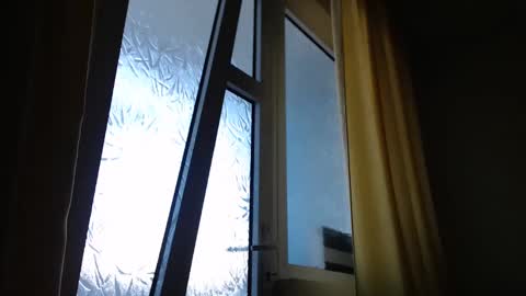 Snapshot of stevenbradley2017 chatting on January 5, 2025, 12:53 pm Steven online show from January 5, 2025, 12:53 pm