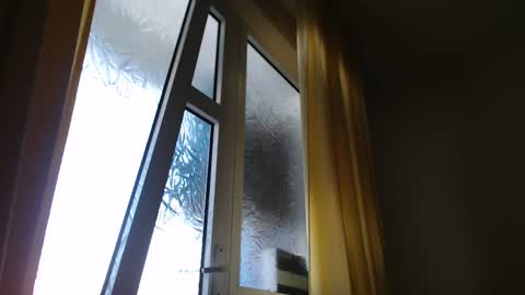 Snapshot of stevenbradley2017 chatting on January 7, 2025, 11:58 am Steven online show from January 7, 2025, 11:58 am