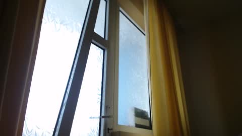 Snapshot of stevenbradley2017 chatting on February 19, 2025, 1:39 pm Steven online show from February 19, 2025, 1:39 pm