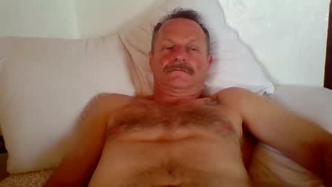 steviehard7 online show from February 4, 2026, 9:31 pm