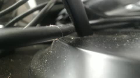 Snapshot of stewpididiot chatting on September 11, 2025, 4:51 pm Stew Pididiot online show from September 11, 2025, 4:51 pm