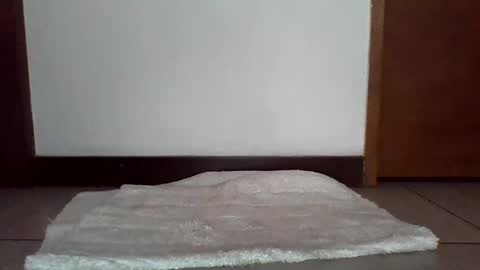 stgo2000caliente online show from February 18, 2025, 3:54 pm