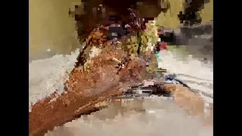stittymike online show from December 16, 2024, 5:27 am