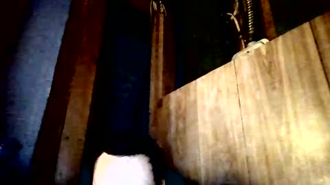 stonedstallion2019 online show from April 2, 2026, 7:33 pm