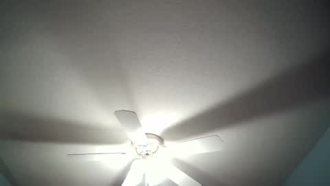 Snapshot of str8whiteboy21 chatting on December 19, 2024, 4:34 am str8whiteboy21 online show from December 19, 2024, 4:34 am