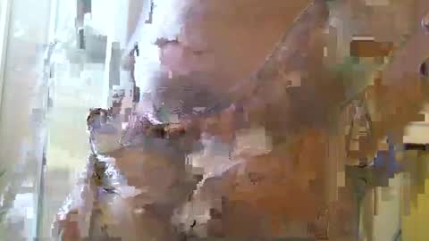 Snapshot of straightstroker81 chatting on December 11, 2024, 6:58 am straightstroker81 online show from December 11, 2024, 6:58 am