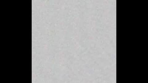 Alice and Violetta online show from December 14, 2025, 9:03 am