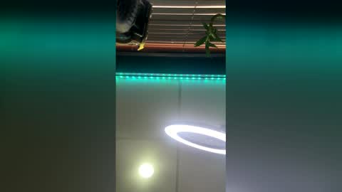 Snapshot of strong_rock69 chatting on March 28, 2026, 10:42 pm strong_rock69 online show from March 28, 2026, 10:42 pm