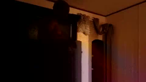 studd77637299 online show from November 15, 2025, 3:48 am