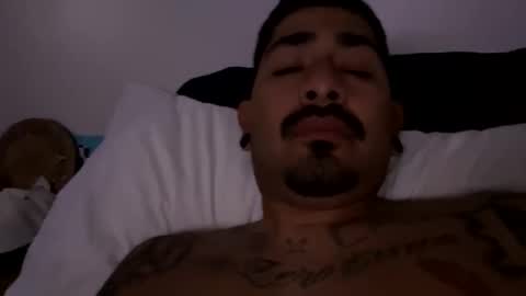 stylezg805 online show from October 28, 2025, 12:09 pm