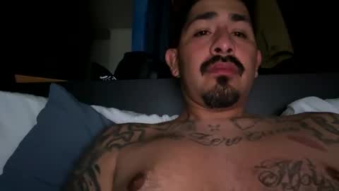 stylezg805 online show from March 18, 2026, 7:44 am