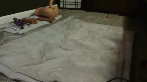 Snapshot of sugacookie69 chatting on December 9, 2024, 4:56 am Suga cookie online show from December 9, 2024, 4:56 am