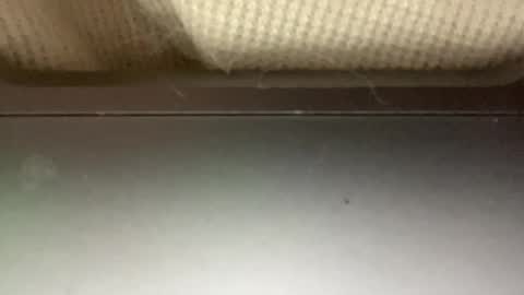 sugadee online show from February 4, 2025, 10:43 am