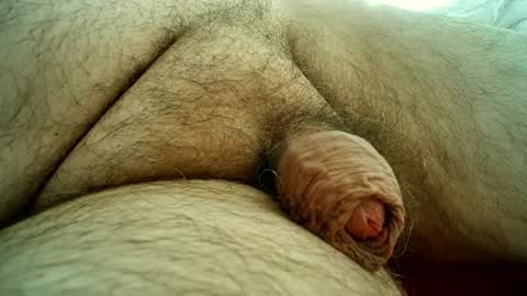 Snapshot of sugus56 chatting on October 28, 2025, 1:47 pm Samenspender online show from October 28, 2025, 1:47 pm