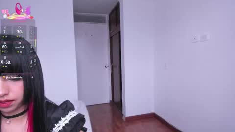 Snapshot of sumeragi_cat chatting on October 5, 2025, 4:05 pm Nicolle online show from October 5, 2025, 4:05 pm