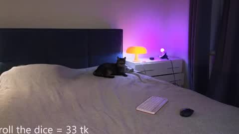 Amy online show from May 2, 2026, 6:13 pm