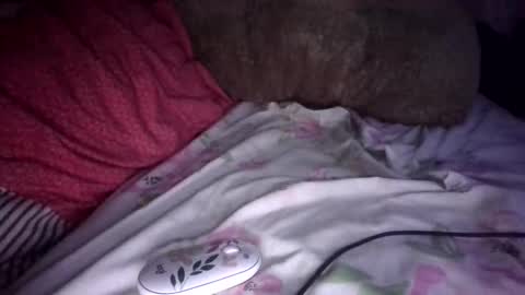 Snapshot of sunnkissed_ chatting on September 9, 2025, 7:41 am sunnkissed slick online show from September 9, 2025, 7:41 am