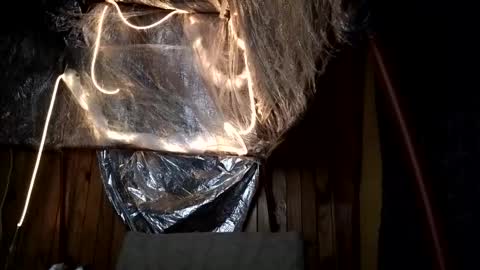 super jony and Marta GMT 1300-1800 every day online show from October 1, 2025, 2:17 am