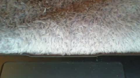 Suseee online show from March 21, 2026, 3:44 am