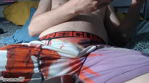 swanou87 online show from December 17, 2024, 1:05 pm