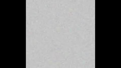 Eva and Tim online show from October 31, 2025, 6:31 pm