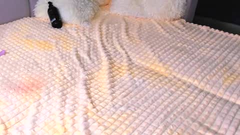 Alice online show from September 18, 2025, 3:25 pm