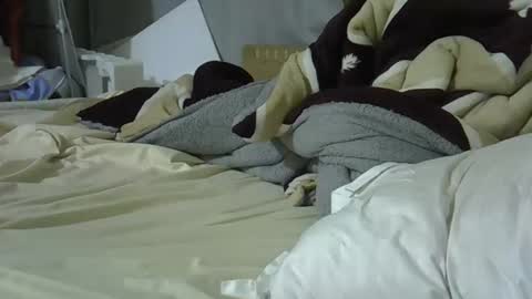 Snapshot of sweet_bellah66 chatting on March 8, 2026, 9:29 pm Bellah online show from March 8, 2026, 9:29 pm