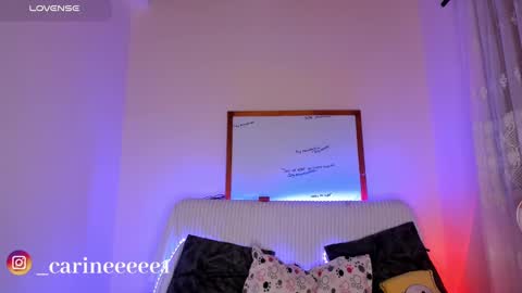 camil online show from December 17, 2024, 10:34 am